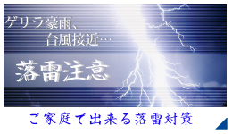 落雷対策をお考えのお客様へ